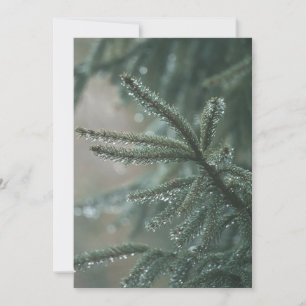 Cartes Pour Fêtes Annuelles Épicéa vert de près, esthétique de Noël