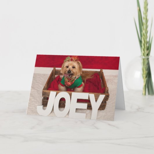 Cartes Pour Fêtes Annuelles Époque de Favourate de Joey (Devant)