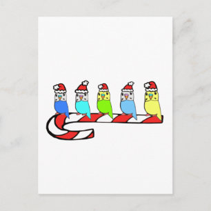 Cartes Pour Fêtes Annuelles Épouses - Noël