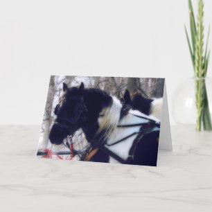Cartes Pour Fêtes Annuelles Équipe Pinto Draft Horse, Noël