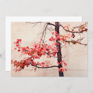 Cartes Pour Fêtes Annuelles Érable