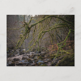 Cartes Pour Fêtes Annuelles Ermitage Dunkeld en hiver