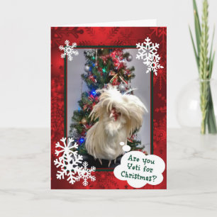 Cartes Pour Fêtes Annuelles Es-Tu Yeti Pour Noël !