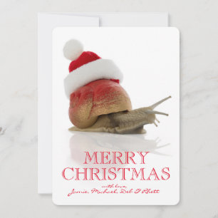 Cartes Pour Fêtes Annuelles Escargot de Noël