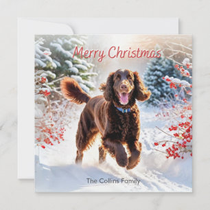 Cartes Pour Fêtes Annuelles Espagnol Irlandais D'Eau En Hiver Neige Joyeux Noë