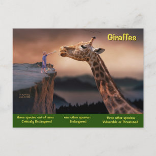Cartes Pour Fêtes Annuelles Espèces de girafe en danger -
