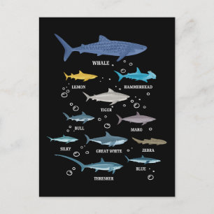 Cartes Pour Fêtes Annuelles Espèces de requins Le requin fait face à la biolog