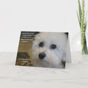 Cartes Pour Fêtes Annuelles Est-ce que je suis supposé être excité ?