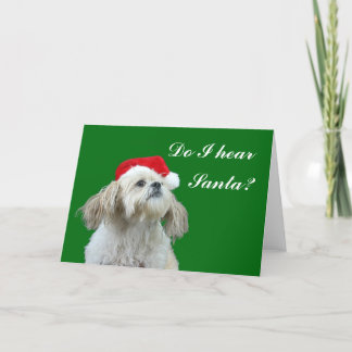 Cartes Pour Fêtes Annuelles Est-ce que j'entends Père Noël ?