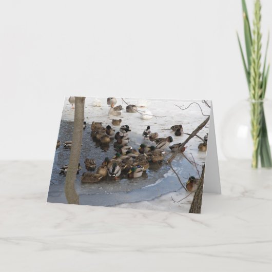 Cartes Pour Fêtes Annuelles Étang congelé avec des canards (Devant)