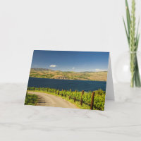 États-Unis, Washington, Lac Chelan. Vignoble