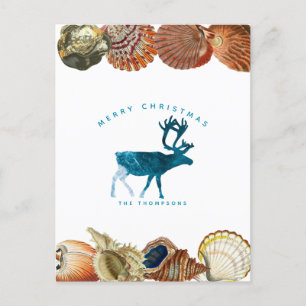 Cartes Pour Fêtes Annuelles Été Noël Plage de coquillages Reindeder