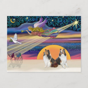 Cartes Pour Fêtes Annuelles Étoile de Noël - Deux Shelties