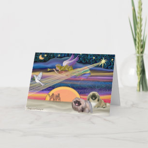 Cartes Pour Fêtes Annuelles Étoile de Noël - Pékinois (deux)