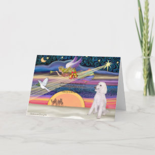 Cartes Pour Fêtes Annuelles Étoile de Noël - Poodle (standard blanc) -