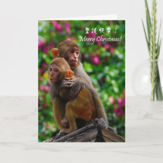 Cartes Pour Fêtes Annuelles Être ensemble pour Noël