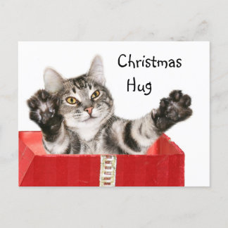 Cartes Pour Fêtes Annuelles Étreinte de Noël de Kitty