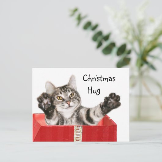Cartes Pour Fêtes Annuelles Étreinte de Noël de Kitty (Debout devant)
