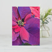 Cartes Pour Fêtes Annuelles Euphorbes violettes (Debout devant)