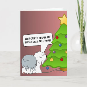 Cartes Pour Fêtes Annuelles Expliquez maintenant à votre chien le sens de Noël