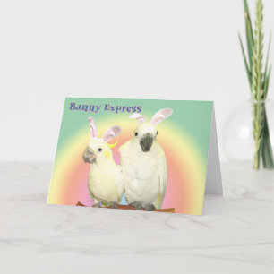 Cartes Pour Fêtes Annuelles Express lapin