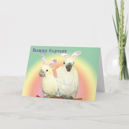 Cartes Pour Fêtes Annuelles Express lapin (Devant)