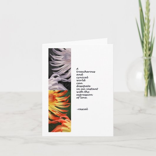 Cartes Pour Fêtes Annuelles Expression de l'amour (Devant)