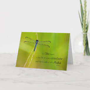 Cartes Pour Fêtes Annuelles Expressions de libellule