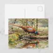 Cartes Pour Fêtes Annuelles Faisan (Devant / Derrière)