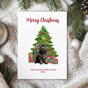 Cartes Pour Fêtes Annuelles Famille de chien Terre-Neuve Noël