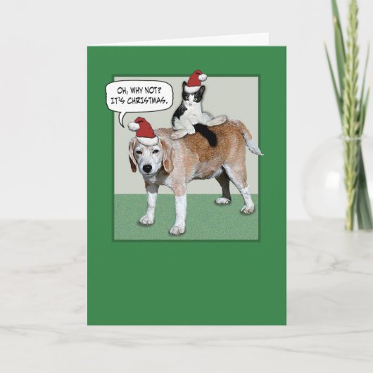 Cartes Pour Fêtes Annuelles Fantaisie Chat et Chien Noël (Devant)