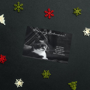 Cartes Pour Fêtes Annuelles Fantastique Meowy Chat Mess Noël