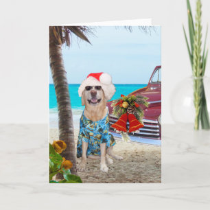 Cartes Pour Fêtes Annuelles Fantastique Noël Hawaïen/Hawaï/surfeur