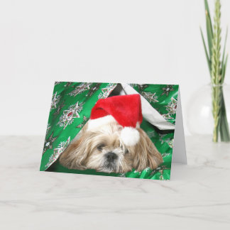 Cartes Pour Fêtes Annuelles Fatigué Noël Shih Tzu