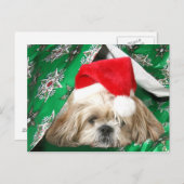 Cartes Pour Fêtes Annuelles Fatigué Noël Shih Tzu (Devant / Derrière)