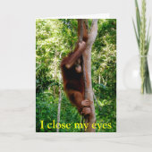 Cartes Pour Fêtes Annuelles Faune de Valentine (Devant)