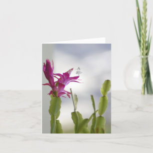 Cartes Pour Fêtes Annuelles Fée de Noël Cactus