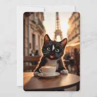 Felini Chat à Paris - Street Café