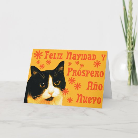 Cartes Pour Fêtes Annuelles Felix Navidad (Devant)