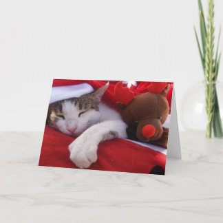 Cartes Pour Fêtes Annuelles Feliz Navidad