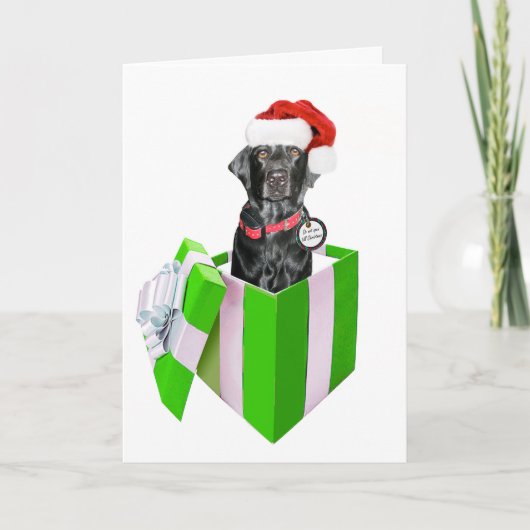 Cartes Pour Fêtes Annuelles Feliz Navidog (Devant)