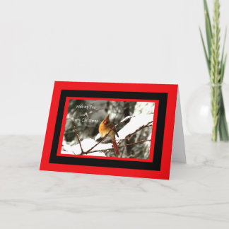 Cartes Pour Fêtes Annuelles Femme Cardinale Du Nord Assis Sur Un Arbre De Neig