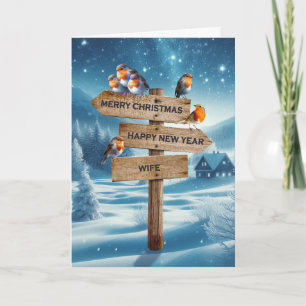 Cartes Pour Fêtes Annuelles Femme Robins de Noël sur un panneau