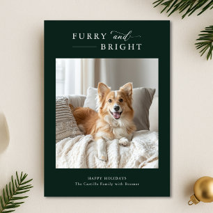 Cartes Pour Fêtes Annuelles Fer et brillant Chien simple Noël 2 Photo Vert