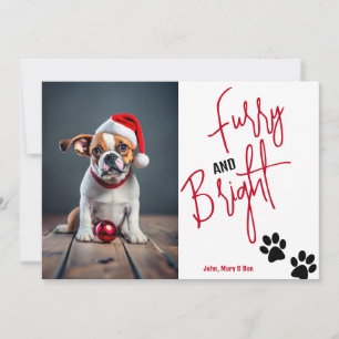 Cartes Pour Fêtes Annuelles Fer et lumière Pet Photo Noël Rouge