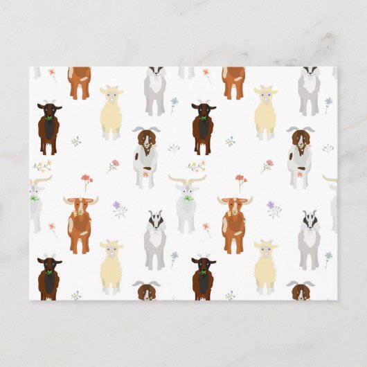 Cartes Pour Fêtes Annuelles Ferme d'animaux de compagnie chèvres mignonnes (Devant)