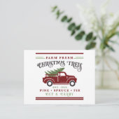 Cartes Pour Fêtes Annuelles Ferme des arbres de Noël frais (Debout devant)