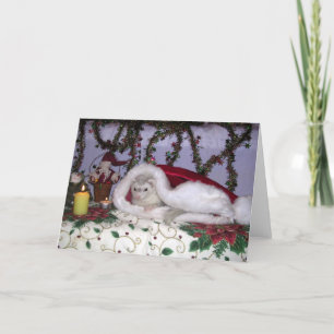 Cartes Pour Fêtes Annuelles Ferret de Noël