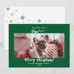 Cartes Pour Fêtes Annuelles Festif Animaux de compagnie Photo Joyeux Noël Cart