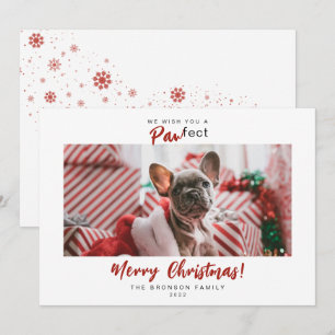 Cartes Pour Fêtes Annuelles Festif Animaux de compagnie Photo Joyeux Script de